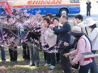 桜守の旅_飯田市_南信州観光公社