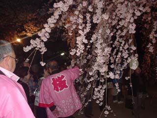 2008_sakuramori_4.JPG