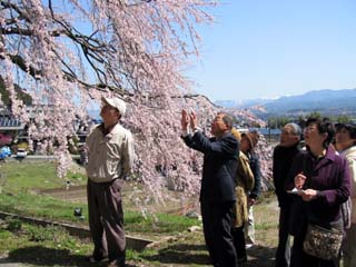 2008_sakuramori_pr_1.JPG