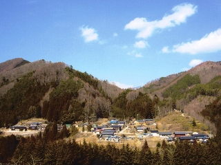 2010_kinoko_3.jpg