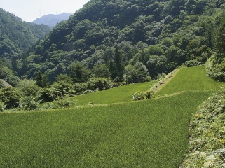 2010_nasu_3.jpg