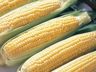 2011_corn_1.jpg