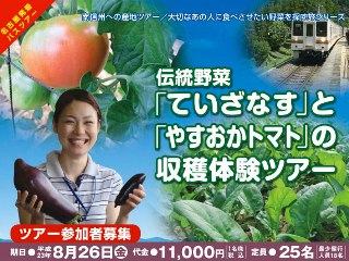 2011_nasu_tomato1.jpg