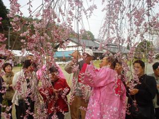 桜守の旅