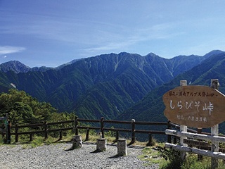 2011_shirabiso4.jpg