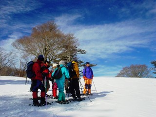 2011_snow_1.JPG