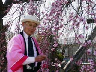 2012_sakura6.JPG