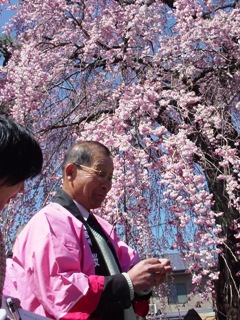 南信州_飯田_桜守