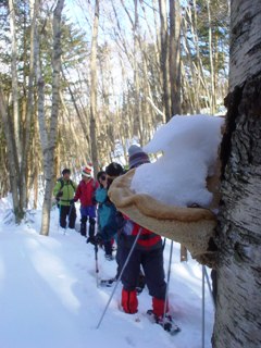 2012_snow_4.JPG