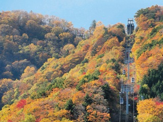 市田柿づくり