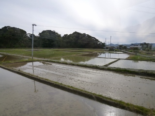 2016_honmono_kouchi3.jpg