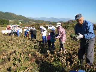 kabocha1.jpg