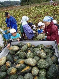 kabocha2.jpg