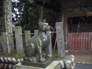 2-IMGP4468-yamazumikomainu.JPG