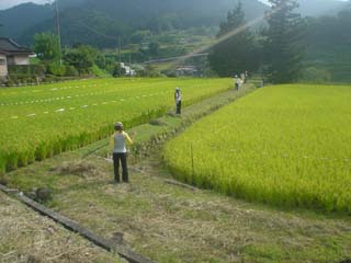 修学旅行_林間学校_南信州観光公社