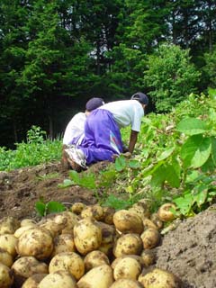 農家民泊_長野県飯田市.JPG