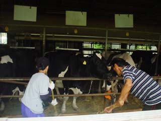 農家民泊_長野県飯田市