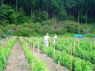 農家民泊_長野県飯田市