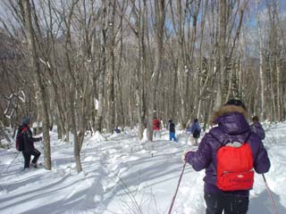 2008_tottori_6.jpg