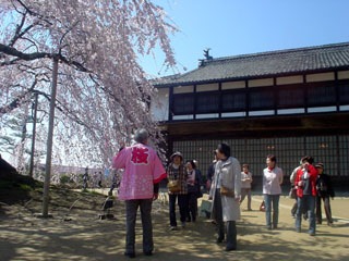 2009_sakurameguri_2.JPG