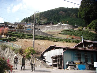 2011_shizenzyuku6_1.JPG