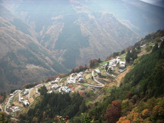 2011_shizenzyuku6_4.JPG