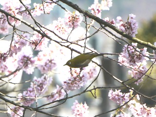 南信州_農家ホームステイ