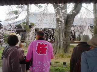 2012_sakura2_tour_1.JPG