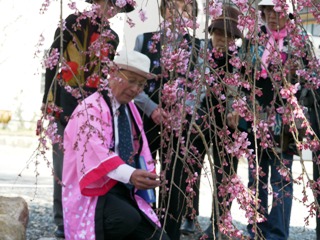 2012_sakura_tour_1.JPG