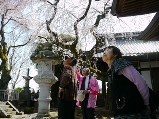 2012_sakura_tour_3.JPG