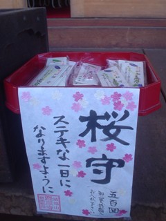 2012_sakura_tour_4.JPG