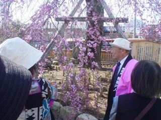 2012_sakura_tour_5.JPG