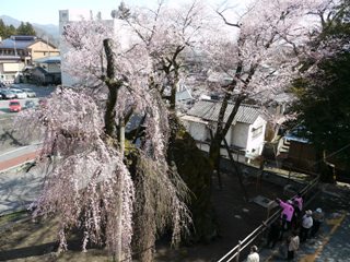 2012_sakura_tour_6.JPG