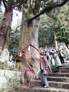 2012_shimotsuki1-3.JPG