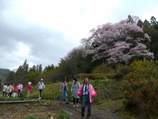 2018_sakura-tour8.jpg