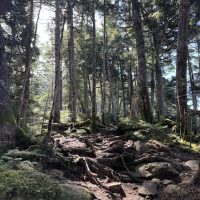 登山道整備 情報2025年