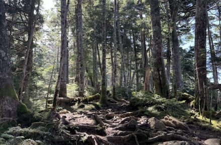 登山道整備 情報2025年
