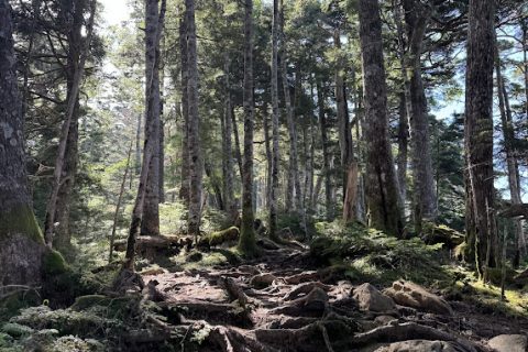 登山道整備 情報2025年