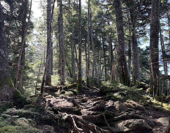 登山道整備 情報2025年