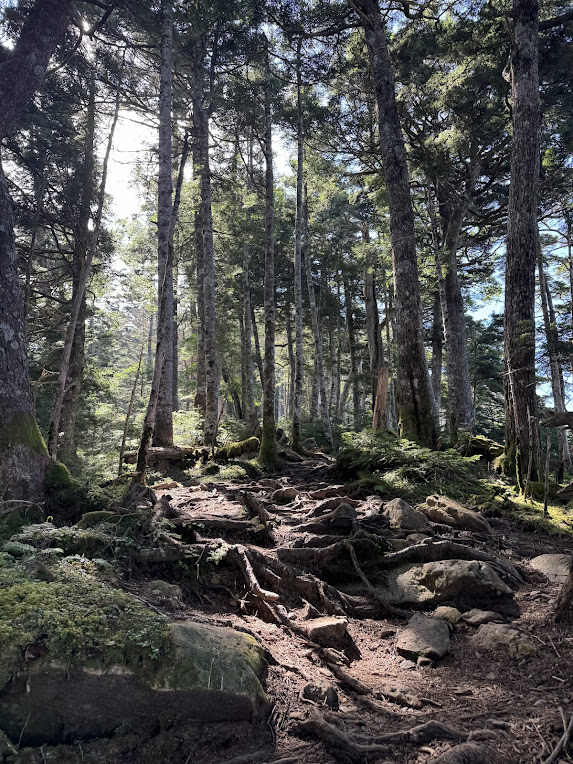 登山道整備 情報2025年