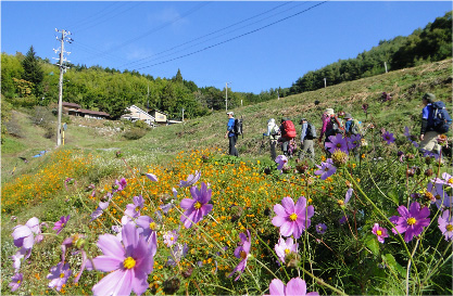 陣馬形山登山 イメージ03