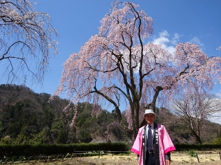 南信州　桜守の旅