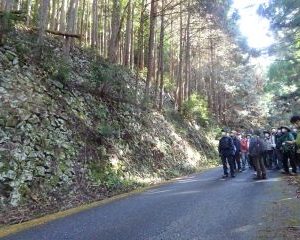 飯田線　エクスカーション