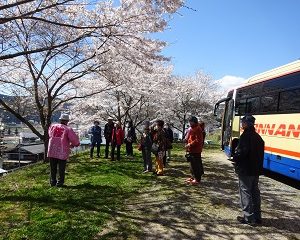 南信州　飯田　桜　ツアー