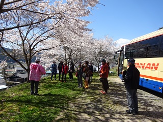 南信州　飯田　桜　ツアー