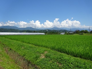 南信州　飯田　農業体験