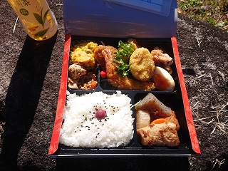 飯田線　秘境駅　ウォーキング