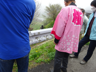 飯田　南信州　桜　一本桜　ツアー