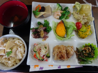 飯田　南信州　桜　一本桜　ツアー